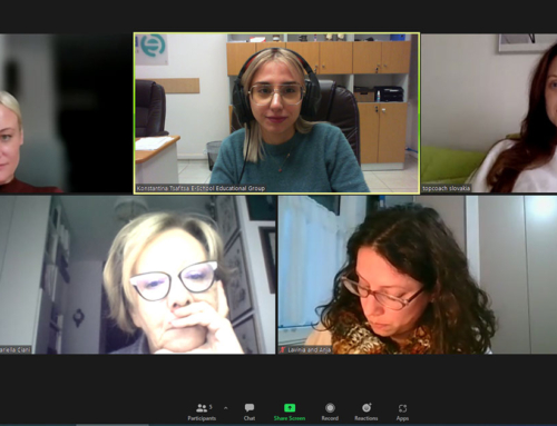 Online Meeting for the CyberSkills project!