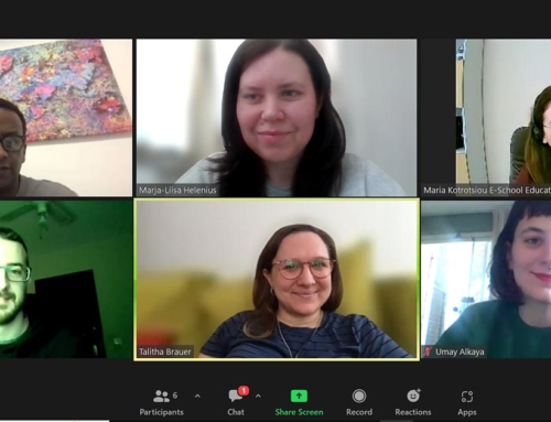 First online meeting of the year for the EMMW project