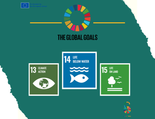 Did you know about SDGs 13 14 and 15?